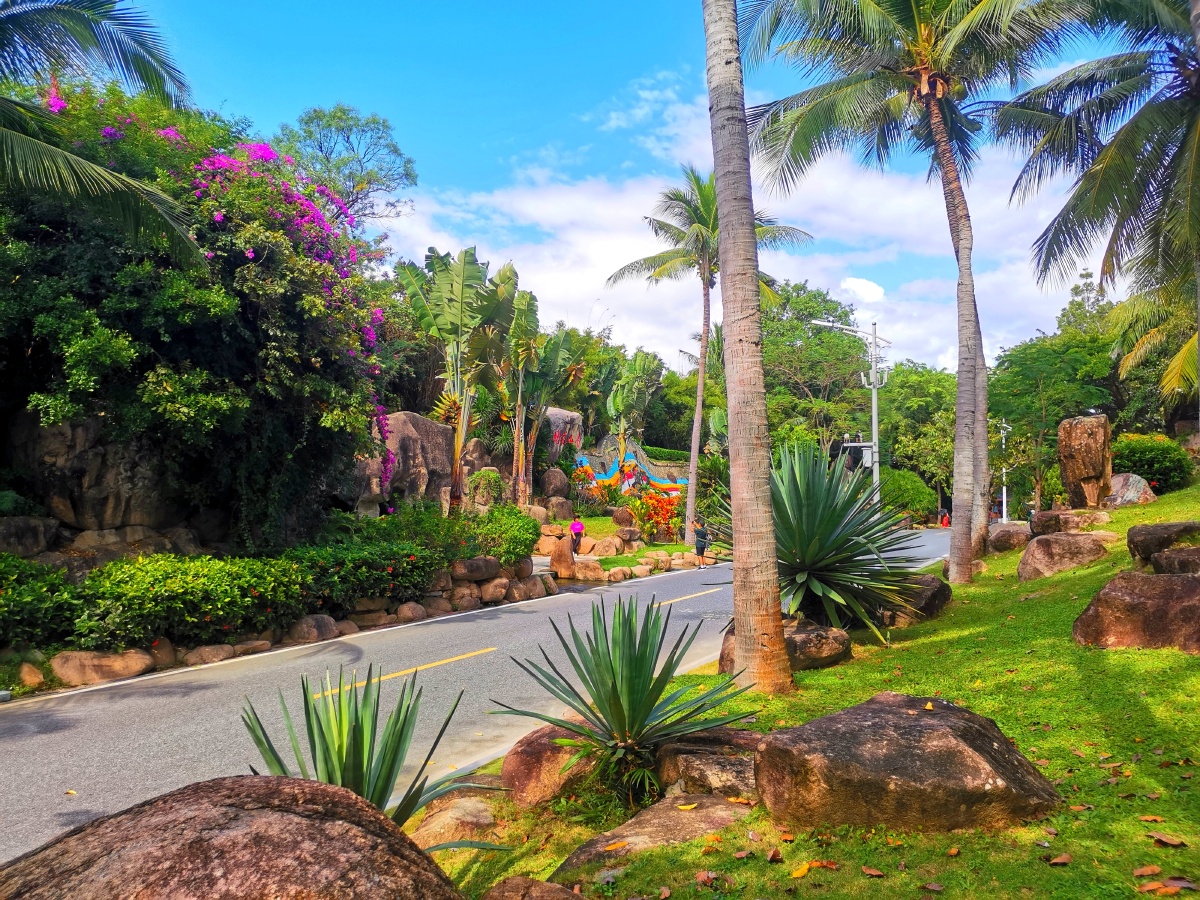 热带风光海南南山