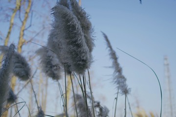 A5976590-AD89-497C-929D-4F5319DFD560/L0/001