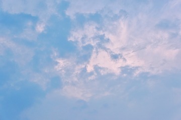 83C86843-17DD-483B-ADA5-588EC2F8CF55/L0/001