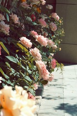 07FA2DD9-60BF-484D-832B-95D1B2172716/L0/001