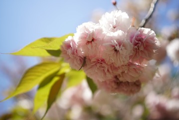 C1C82520-C75A-42A9-9F7D-E4484EE01C22/L0/001