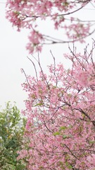 0D871A7F-2AB8-4676-8CF3-D2B58745D42E/L0/001