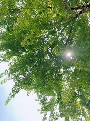 EF2BCB02-042C-4E91-8264-0000138C58BE/L0/001