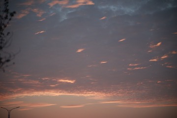 F1009335-C153-4750-B895-0C40420AE205/L0/001