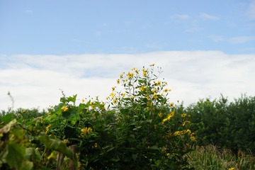 2854392