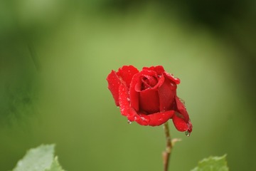 989