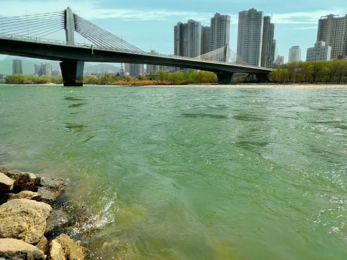 黄河春水绿如蓝拍于兰州黄河段