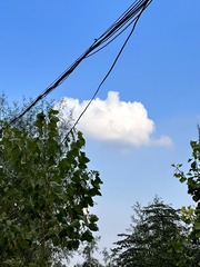 53C16803-1043-48BC-AE54-4D36B9898AF9/L0/001