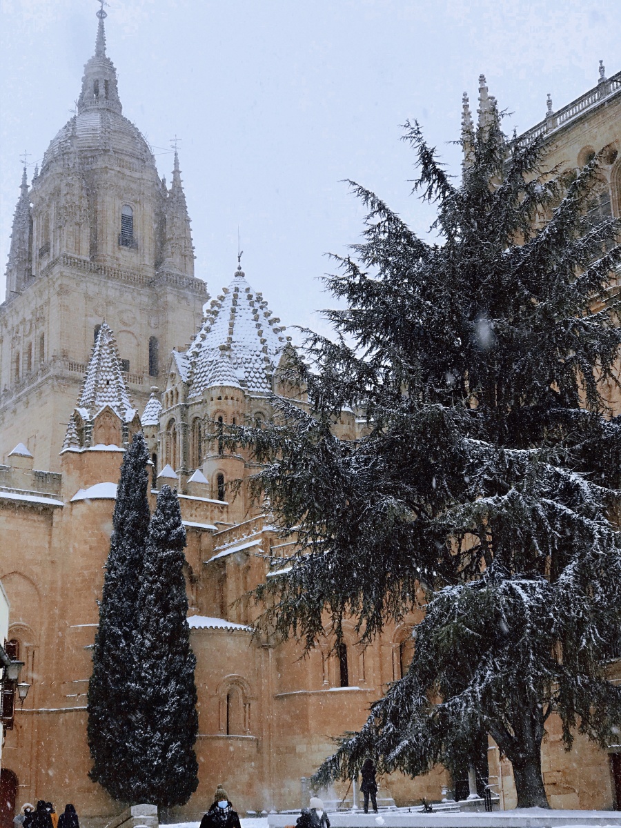 西班牙萨拉曼卡(salamanca)冬日雪景❄️ - 好多琳仔 - 图虫