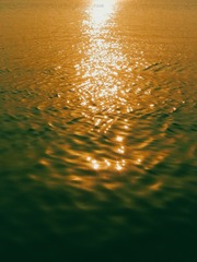 736D9F0A-0A4B-4A77-AC8E-E9FE022CC059/L0/001