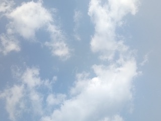 81456