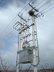 54751