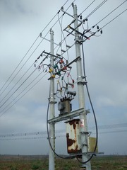 54749