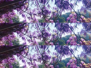 456ED684-1DC9-4664-92B3-AE5A0401A611/L0/001