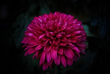 5BB06996-27C3-472E-A291-CCE84333AE3B/L0/001