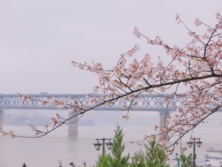 BD7D8C0A-7563-4F91-B0A0-5C032AB8AD95/L0/001