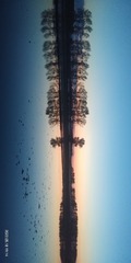 5004111