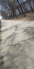 5176685