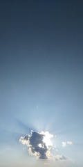 4843523