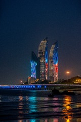 1000473308