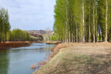 200519