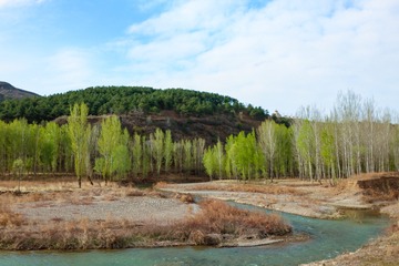 200516