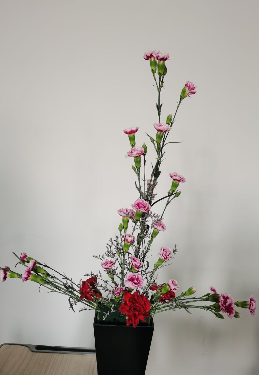 倒t型插花作品: 5支粉红多丁康乃馨 3朵红色康乃馨 些许情人草