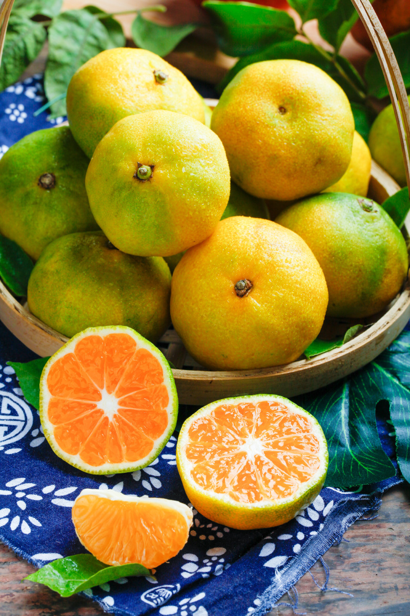 橙子- 味蕾绽放 - 图虫