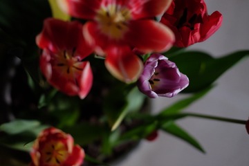 7FD261A9-058F-4376-84EF-A2108917C9D2/L0/001
