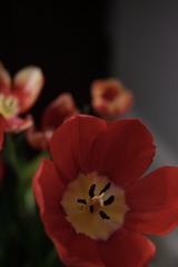 1515B821-7454-4C71-A4C3-C2D42CEB8291/L0/001