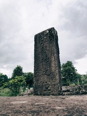 1000017604