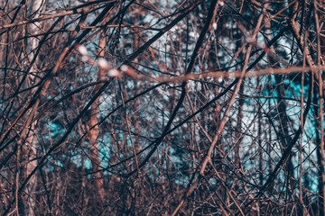 7A575619-BA01-45E5-8BDA-DB15242CF2F2/L0/001