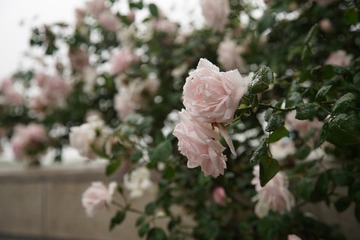 0939B13B-C70F-4941-8E7B-5751DFFEEE94/L0/001