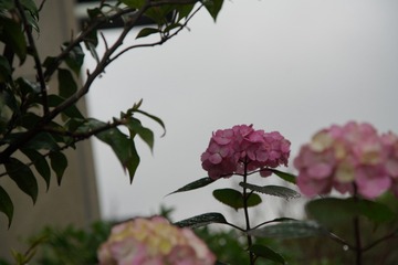 7873B704-C23D-491C-9CE2-EF058AD07AAD/L0/001