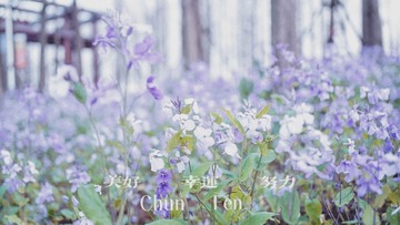 D2193518-0524-4DFB-8D37-BC53E82609F8