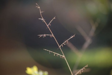 路边随拍