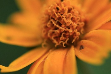 IMG_3006-5.jpg