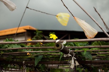 IMG_0061-2-2.jpg
