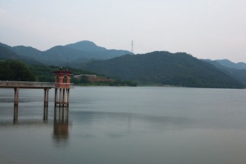 IMG_0247-3.jpg