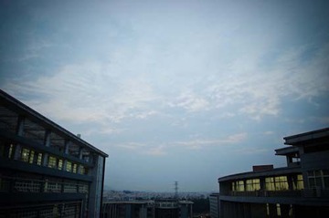 lomo风