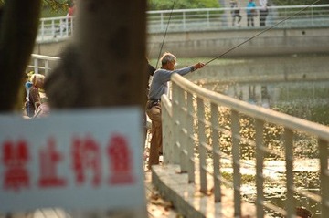 禁止钓鱼啊伯伯