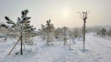 E6463509-D2A4-47B2-BA15-E952F2702D74/L0/001
