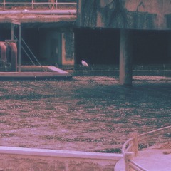 6A18A11A-E82D-4C07-AA0F-26DA46A0EBE1/L0/001