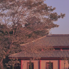 F0159B96-E846-4FA5-A12D-B109BBBEB342/L0/001