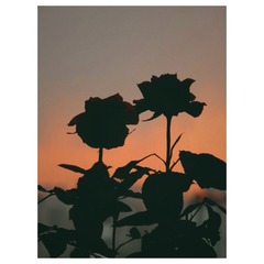 161066