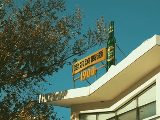 153081