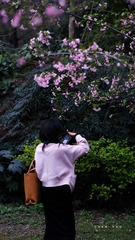81DDC375-42BC-4172-ACCB-296E6C4B396A/L0/001