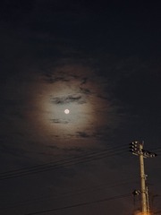 3F85338D-A165-4627-B53F-F290DFB07F4A/L0/001