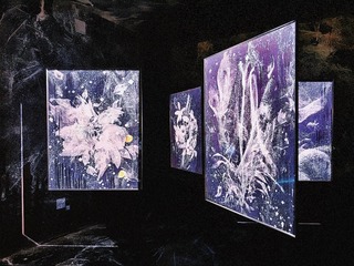3D2A0F29-D2CF-44A3-96FB-295A75236FC2/L0/001