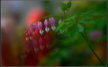 DSC_2337.JPG